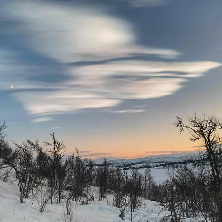 With Panoramic View Over Hardangervidda * Dagali